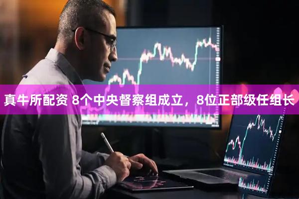 真牛所配资 8个中央督察组成立，8位正部级任组长