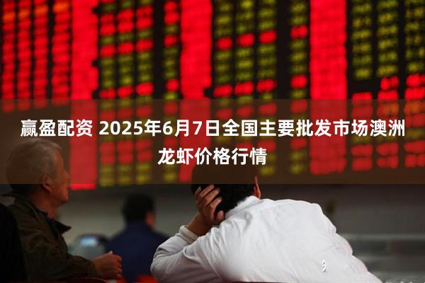 赢盈配资 2025年6月7日全国主要批发市场澳洲龙虾价格行情