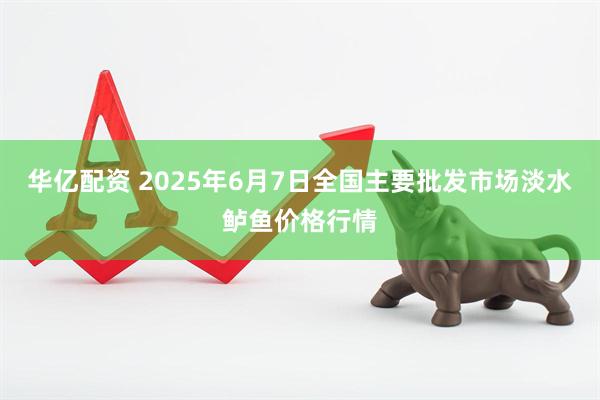 华亿配资 2025年6月7日全国主要批发市场淡水鲈鱼价格行情