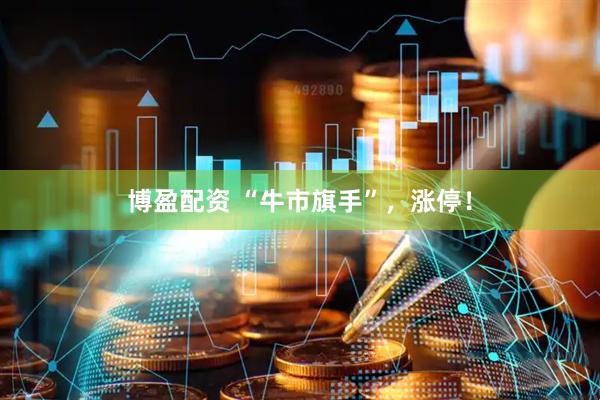 博盈配资 “牛市旗手”，涨停！