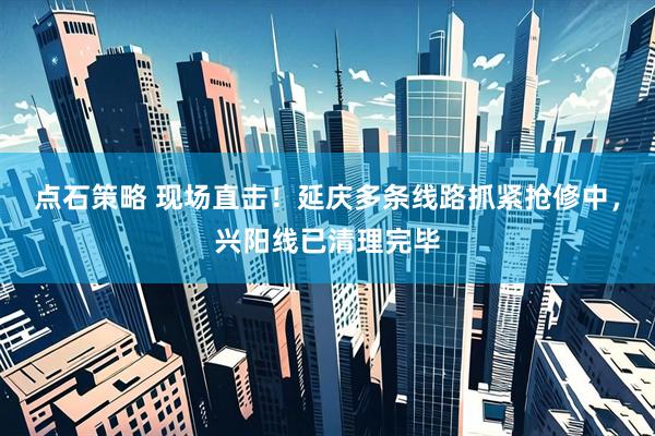 点石策略 现场直击！延庆多条线路抓紧抢修中，兴阳线已清理完毕