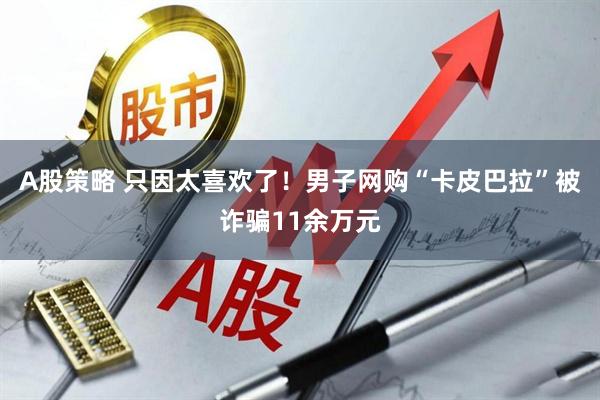 A股策略 只因太喜欢了！男子网购“卡皮巴拉”被诈骗11余万元