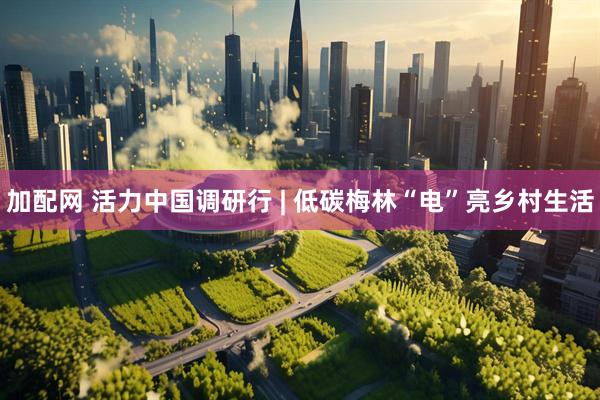 加配网 活力中国调研行 | 低碳梅林“电”亮乡村生活
