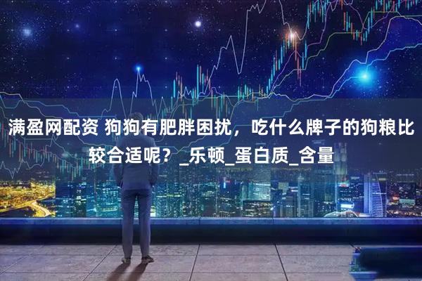 满盈网配资 狗狗有肥胖困扰，吃什么牌子的狗粮比较合适呢？_乐顿_蛋白质_含量