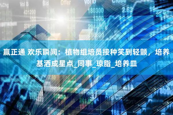 赢正通 欢乐瞬间：植物组培员接种笑到轻颤，培养基洒成星点_同事_琼脂_培养皿