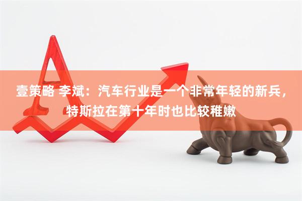 壹策略 李斌：汽车行业是一个非常年轻的新兵，特斯拉在第十年时也比较稚嫩