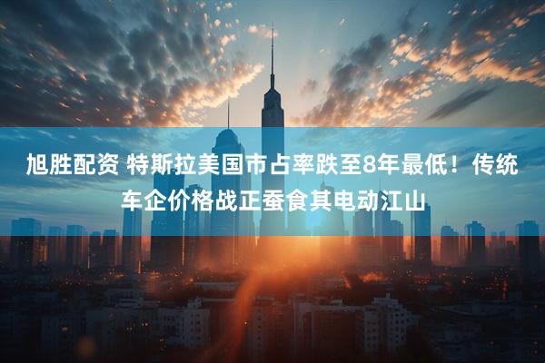 旭胜配资 特斯拉美国市占率跌至8年最低！传统车企价格战正蚕食其电动江山
