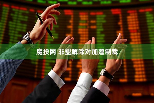 魔投网 非盟解除对加蓬制裁